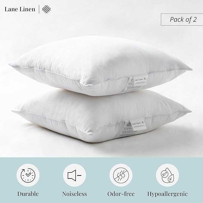 LANE LINEN 18 x 18 Throw Pillow Insert - Pack of 2 White, Down Alternative Pillow Inserts for Decorative Pillow Covers, Throw Pillows for Bed, Couch Pillows for Living Room