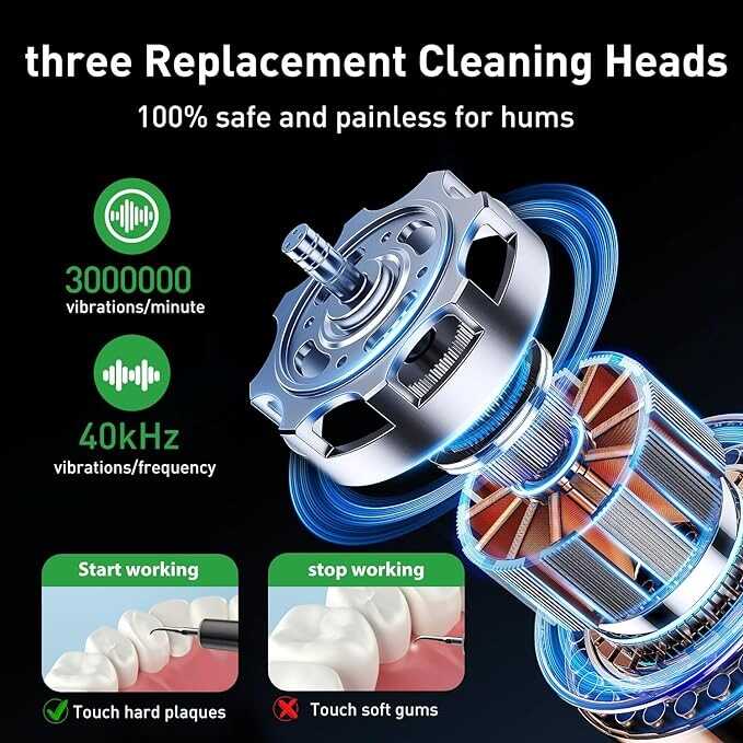 Plaque Remover for Teeth - Tartar Remover for Teeth, Dental Calculus Remover Teeth Cleaning Kit，4 Speed Modes with 4 Replaceable Heads ，IPX6 Waterproof with LED Light